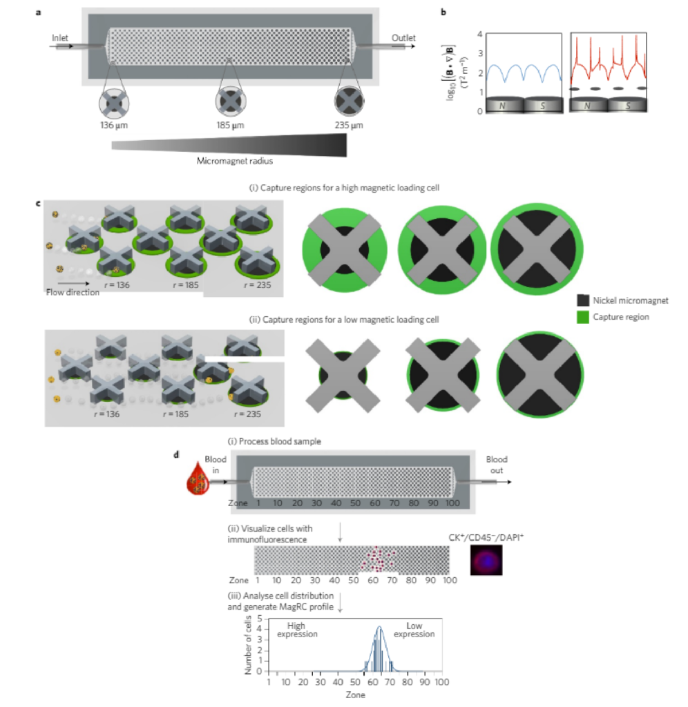 casestudy_naturenanotechnology_Tracking the dynamics of circulating