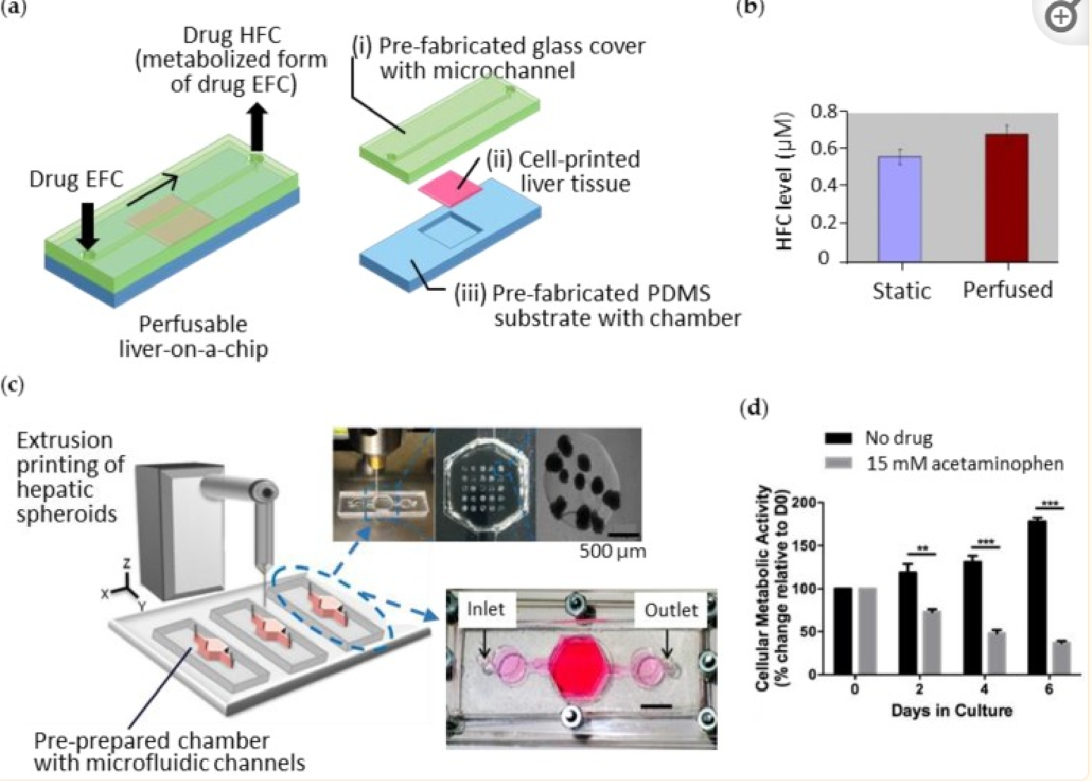 casestudy_bioengineering_3D Printing of Organs-On-Chips - CADworks3D