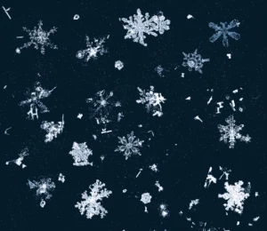 Jack photography - baton rouge snowflakes