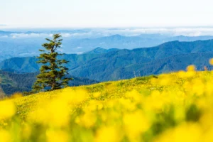 Jack photography - landscape