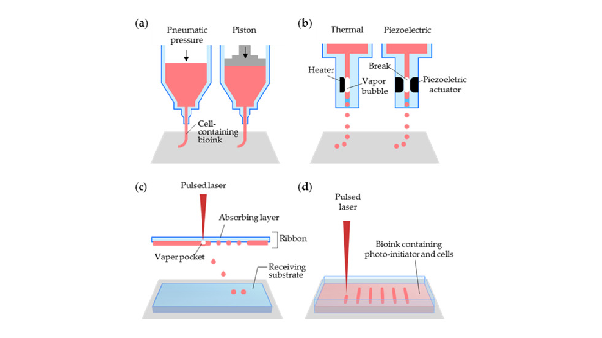 Figure 2. Schematics of 3D-cell printing methods with different working principles: (a) micro-extrusion, (b) inkjet, (c) laser-assisted printing, and (d) stereolithographic printing.