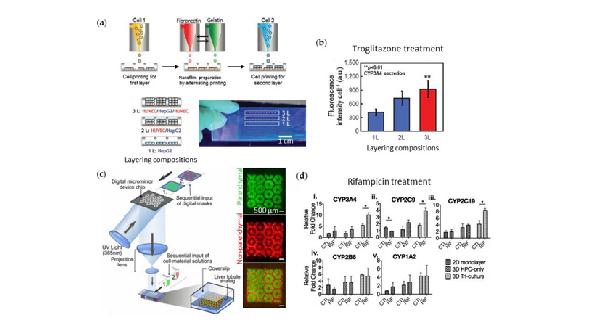 3D Printing of Organs-On-Chips - CADworks3D