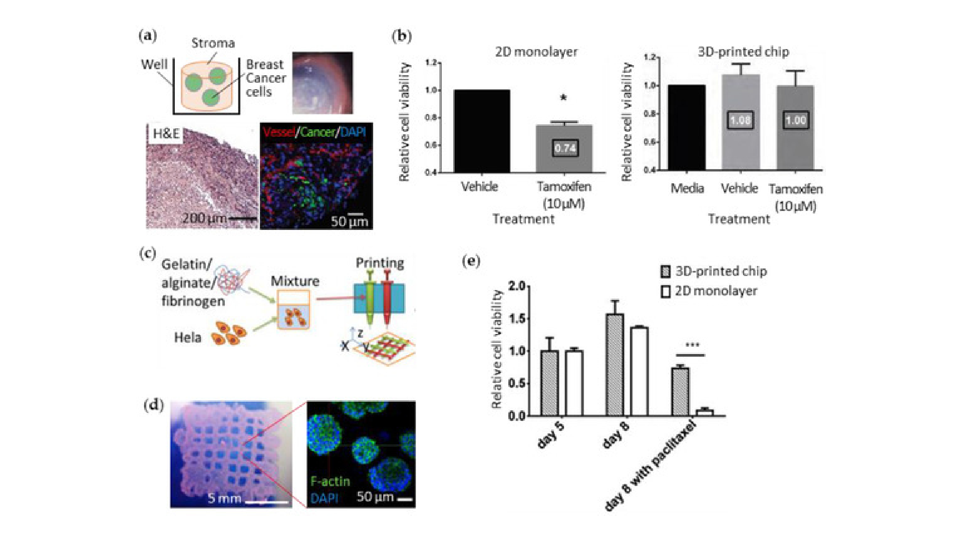 Figure 4. 3D cell-printed cancers-on-chips (a) Schematic diagram and microscopic observations (lower left: H&E staining, lower right: immunofluorescent staining) of the extruded breast stromal cells and cancer cells into a multi-well plate; (b) Increased chemosensitivity to tamoxifen from breast cancer cells cultured in 3D-printed chip compared to those in a 2D monolayer; (c) Process of the micro-extrusion of cervical cancer cells (Hela) with gelatin-alginate-fibrinogen bioink; (d) Photograph of the printed cervical cancer-on-a-chip showing the lattice pattern and its fluorescent microscopic image showing the cell morphology; (e) Increased chemosensitivity to paclitaxel from Hela cells cultured in 3D-printed chip compared to those in a 2D monolayer.