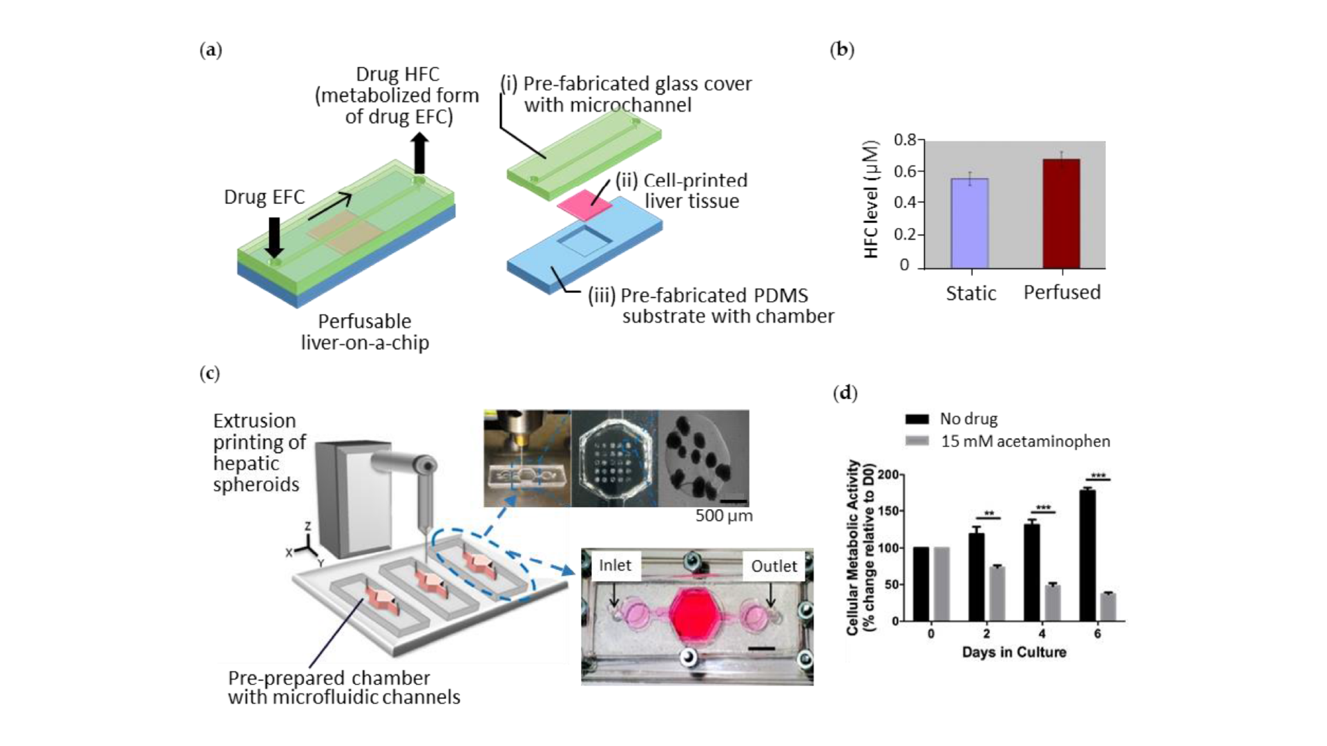 Figure 5. 3D cell-printed liver constructs integrated with a pre-prepared microfluidic device. (a) Illustration of the 3D-printed perfusable liver-on-a-chip and its exploded view; (b) The higher level of metabolized drug 7-hydroxy-4-trifluoromethyl coumarin (HFC) under perfusion condition compared to that under static condition; (c) Schematics of extrusion printing of liver cells onto pre-prepared microfluidic device and its photographs, showing the array of hepatic spheroids in the chamber; (d) Hepatotoxic effect of acute acetaminophen on the liver tissue.