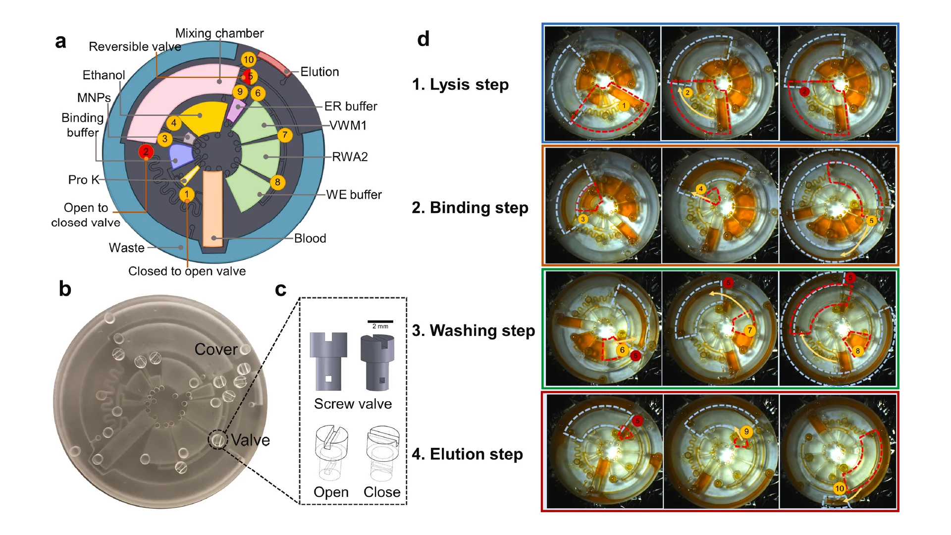 Figure 2. Design and 3D printing of the centrifugal microfluidic devices. (a) 3D model and detailed function of lab-on-a-disc (LoaD) device; (b) 3D printed LoaD device; (c) 3D design of screw valves; (d) Demonstration of device operation by food dyes, “v.1-10” stand for valve 1–10 and fluid flow sequences were indicated by dashed lines and yellow arrow, while red color circle represent closed valve and yellow one represents for opened valve.