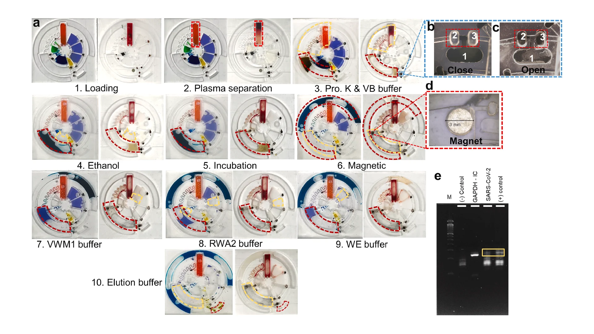 Figure 6. Room-temp PDMS-based LoaD operation. (a) Food dye visualization for testing leakage issues and photonic valves operation and snapshot images of the device for the whole process of RNA extraction from the whole blood, which were described by left and right images of each step correspondingly. The solution moves from the yellow dashed line area to the red dashed line area; (b) and (c) Photonic valve in close (left) and open (right) state. In the close state, ferro-wax was stored in chamber 1 and the connection channel, while assistant chambers 2 and 3 contained no wax (white dye color). In the open state, ferro-wax in the connection channel was melted by a laser and then moved to chambers 2 and 3 to open the channel enabling the transfer of liquid; (d) Magnification of magnet (d = 3 mm) in mixing chamber; (e) Gel electrophoresis of PCR result of on-chip extraction sample. Lane 1 represents the 50 bp ladder, lane 2 displays GAPDH gene in human, and lane 3 shows the amplification plot of SARS-CoV-2 (103 copies/μl) spiked in whole blood, and lane 4 is the SARS-CoV-2 (103 copies/μl) in whole blood and proceeded with conventional extraction method using the same kit as a positive control.