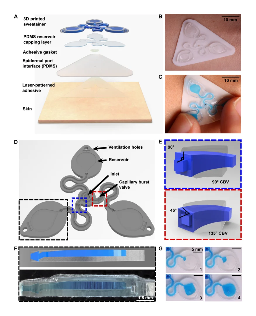 Figure 1. Schematic illustrations and optical images of the 3D printed epidermal microfluidic devices for the collection and analysis of sweat. (A) An exploded render highlights key components of the sweatainer system and epidermal interface (port). PDMS, poly(dimethylsiloxane). (B) A photograph of the sweatainer mounted on the ventral forearm of an individual before the onset of sweat collection. (C) The construct of the sweatainer eliminates uncontrolled fluid transport under mechanical loading (e.g., finger pressure and device removal). (D) Illustration of the sweatainer highlighting key device aspects including the inlet, capillary burst valves (CBVs; blue and red dashed area), collection reservoir, and ventilation holes to eliminate backpressure. (E) Renders of three-dimensional (3D) CBV designs enabled by 3D printing with diverging angles of 90° (top) and 135° (bottom). (F) 3D printing enables fabrication of device geometries in a true 3D space as shown by the computer-aided design (CAD) render (top) and photograph of actual device (bottom). Location of sweat appears in blue. (G) Photographic sequence highlighting the complete filling of a sweat collection reservoir.