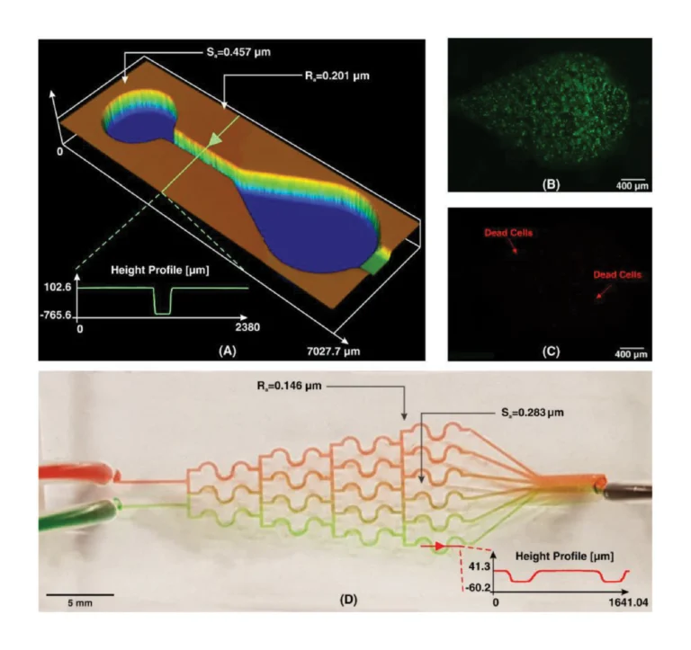 Figure 5. A) Whole-chip image of the cell culture device with its related Sa, Ra, and height profile. B) Live and C) dead images of the cells after 24 h incubation, which show that cell viability in these devices are noticeable, and total numbers of dead cells are rare. D) Concentration gradient profile of two food colors of red and green. The results reveal that the newly developed microfluidic resin is suitable for cell culture applications.