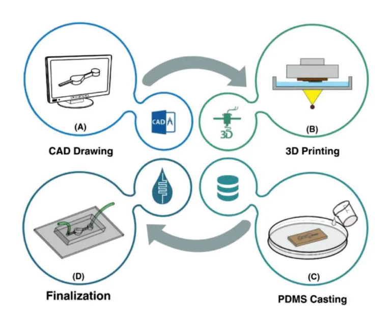 Figure 6. The workflow of the master mold preparation by DLP/SLA 3D printing method and microfluidic resin. A) The desired master mold is drawn. The beauty of microfluidic devices is that they require neither intricate geometries nor professional CAD drawer. Thus, the CAD drawing process will not take a long time. B) The design is then printed using a DLP/SLA 3D printer, and the residuals are removed from the surface of the mold. C) Afterward, PDMS is poured in the master mold, and D) in the final stage, PDMS is peeled-off, bonded to a glass or PDMS layer, and the finalization followed by the installation of inlets and outlets.