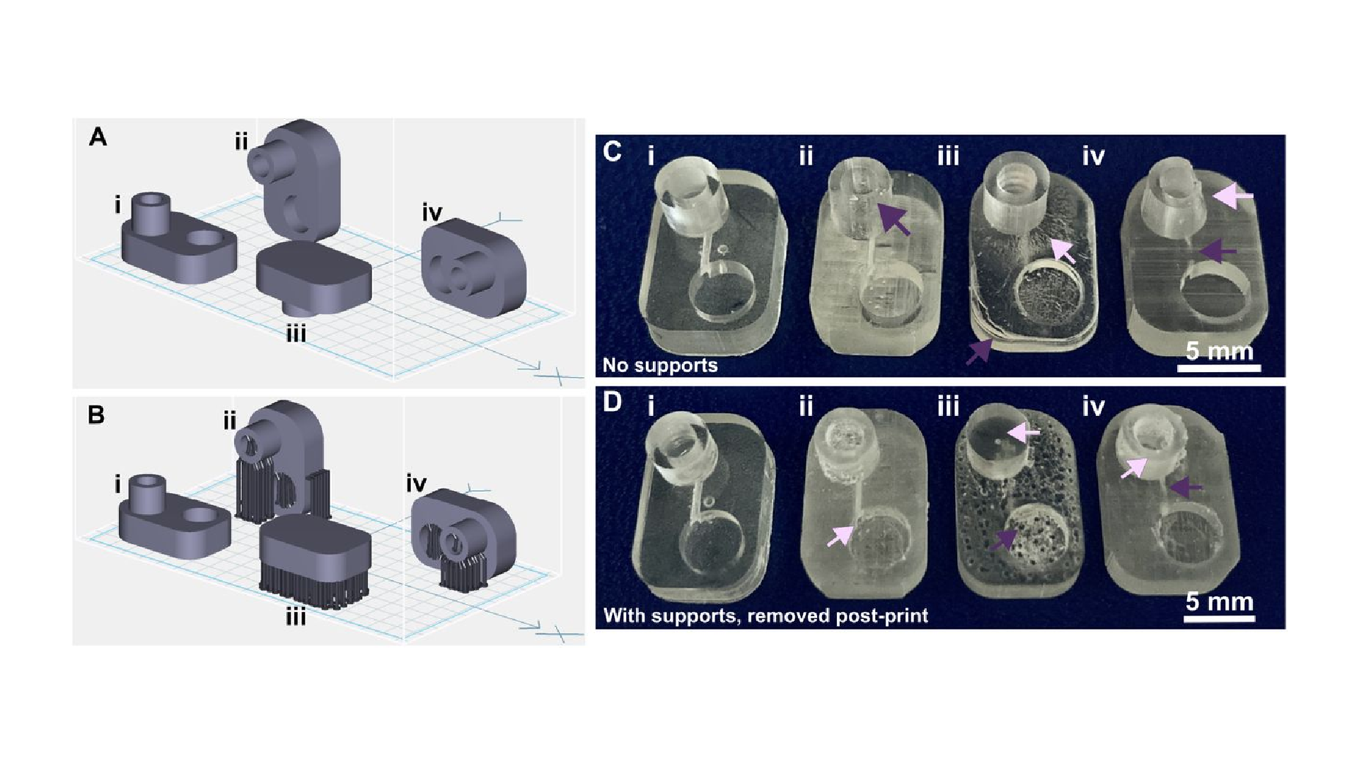 Figure 3. Orientation of prints on a build plate impacts the print resolution and optical clarity. A microfluidic design containing a reservoir, channel, and chamber is shown in the MiiCraft Utility slicing software in four orientations (A) without supports and (B) with supports: (i) base-down, (ii) vertical, (iii) top-down, and (iv) horizontal. Blue grid represents the base plate. Supports were added to all areas using default settings in the slicing software. (C, D) Photos of pieces printed in BV007a resin with the MiiCraft Ultra 50 printer, (C) printed without supports, and (D) printed with supports, with 2 minutes of support removal. Surface roughness and clarity variation is evident between the 4 orientations. Defects were noted as follows: In C: (i) no defects, (ii) overhang drooping, (iii) delamination (purple) and stress fracturing (pink), (iv) blocked channel (purple), overhang drooping (pink); in D: (i) no defects, (ii) stress fracturing, (iii) damage from supports (purple) and filled chamber (pink), (iv) filled channel (purple) and support damage (pink).