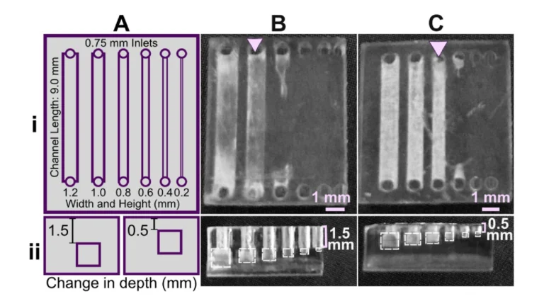 Figure 6. Reducing the number of overhang layers in the chip design improved the resolution of internal features. (A) Schematic of the test piece with six internal channels, in (i) top view and (ii) side view. (B,C) Channels were printed with (B) 1.5 mm or (C) 0.5 mm overhang thickness, and imaged from (i) top and (ii) side. The square channel is traced with dashed outlines; the features visible above the channel in the side view are inlets and outlets. All pieces were printed in FL Clear resin with a 405 nm light source (settings in Table S1). Resolution was determined visually by observing the smallest channel cross-section that could be printed fully (pink arrows).