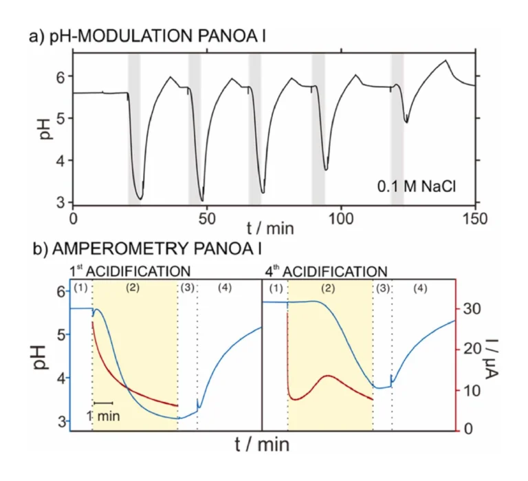 Figure 6. (a) Consecutive pH modulations using PANOA type I in 0.1 M NaCl solutions. The gray areas represent the times of acidification. (b) Chronoamperometric curves with overlapping pH-time profiles for the 1st and 4th acidification cycles. pH modulations were performed by applying +0.4 V for 300 s, followed by a 60 s waiting period where the pH was passively monitored and then, a regeneration step of –0.2 V for 600 s. The steps of the experimental protocol as described in Fig. 5 are indicated. Notably, the regeneration part has been shortened up for simplicity.