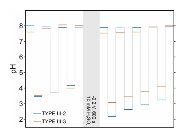 Figure 9. The measured pH before and after acidifications of a seawater sample with a starting pH of 7.83±0.17. Proton releases were performed by applying +0.45 V for 300 s, and the regeneration was performed at –0.15 V for 600 s. The gray area indicates a most drastic the regeneration of the material in 10 mM H2SO4/0.1 M NaCl by applying –0.2 V for 600 s.