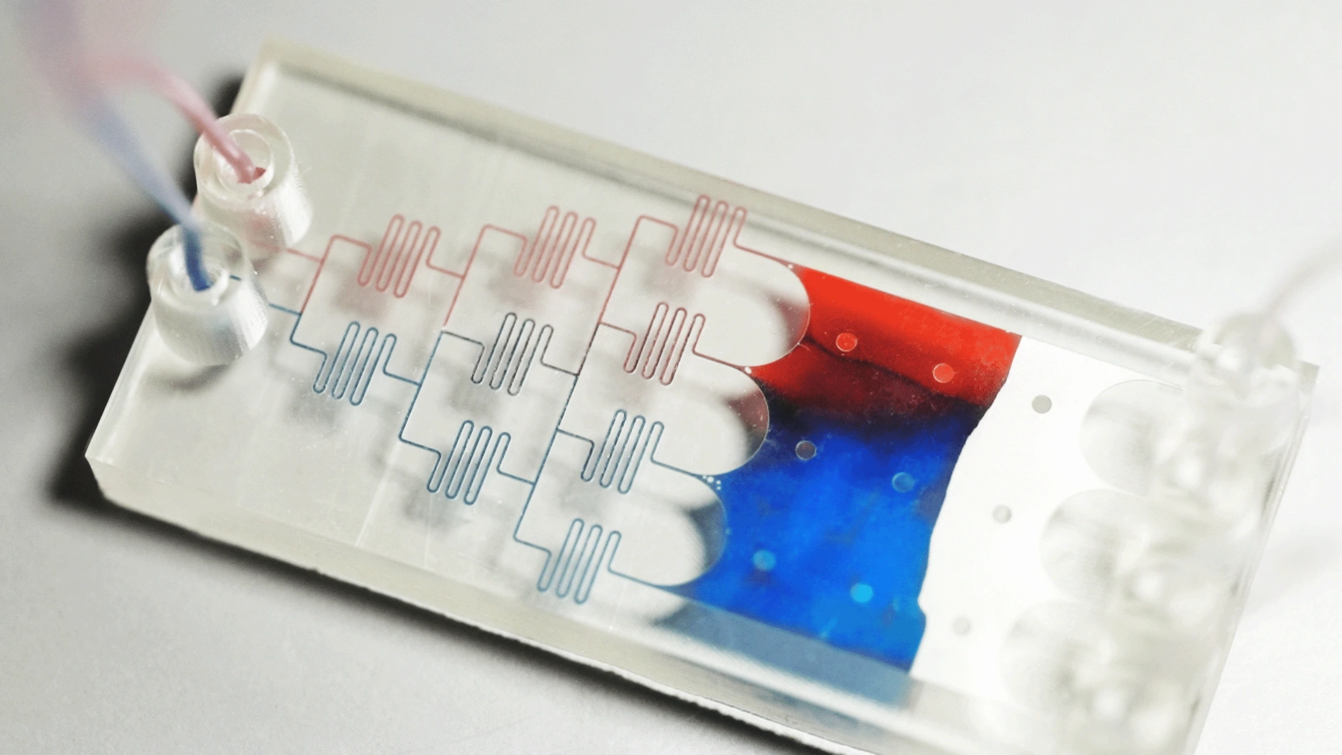 High-resolution 3D-printed Gradient Generator microfluidic device