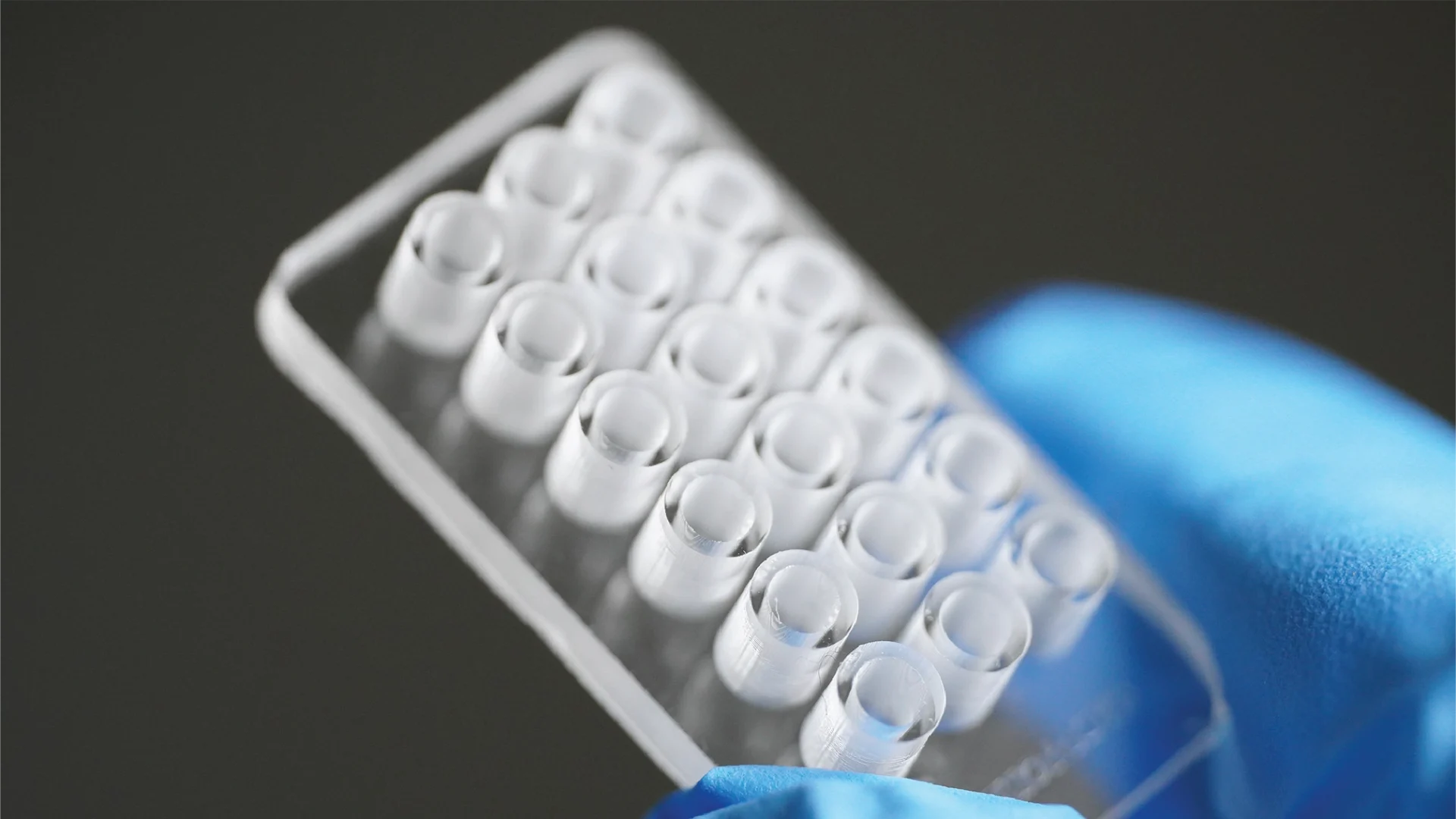 18-Well Cell Culture Plate 01