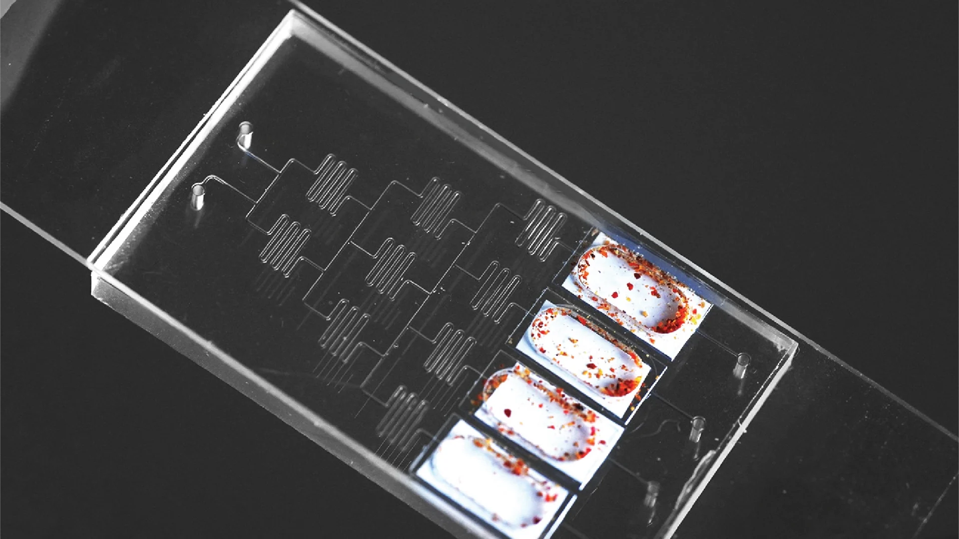 Cell Culture Multi-Well Plates 01