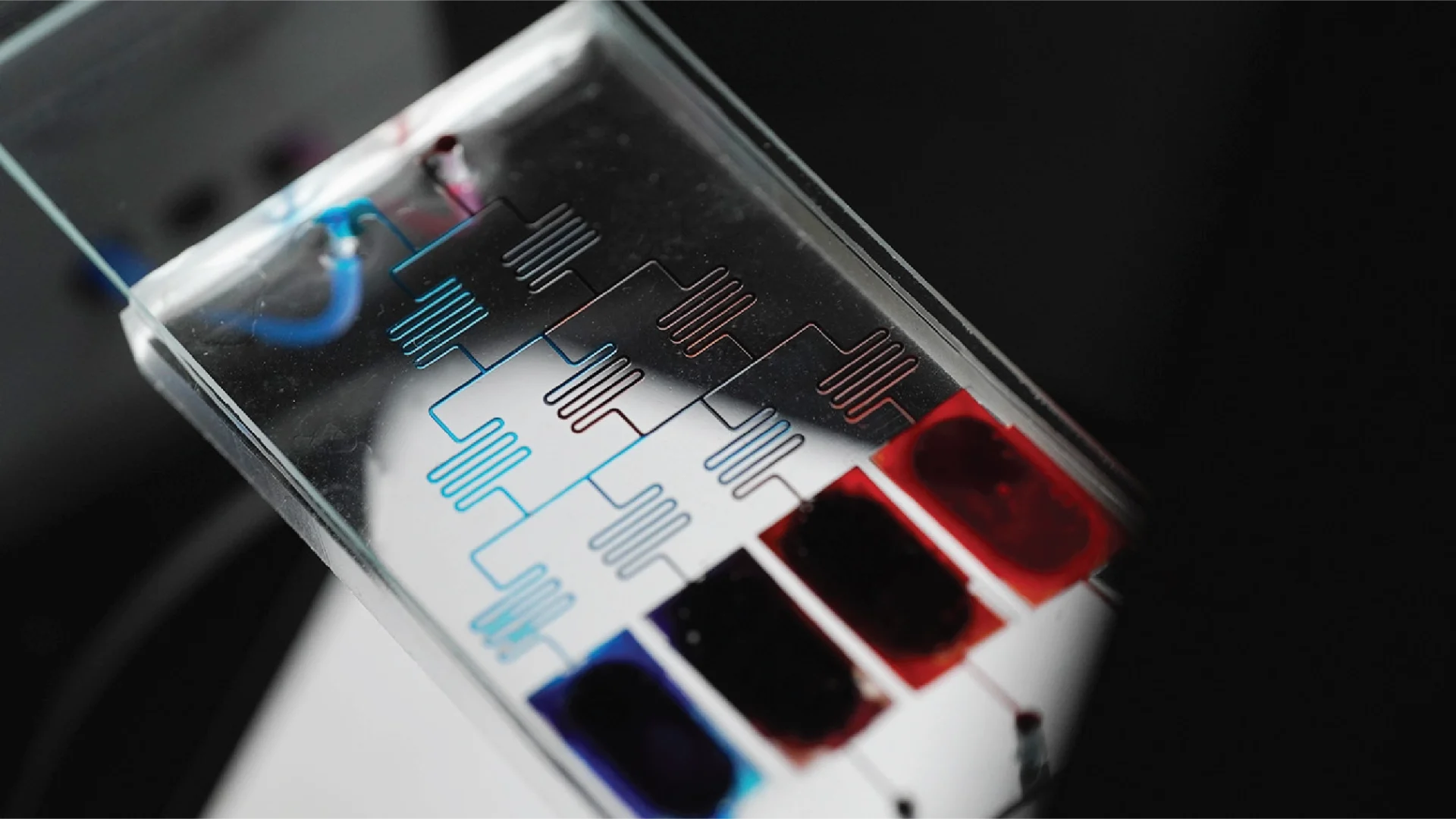 Cell Culture Multi-Well Plates 03