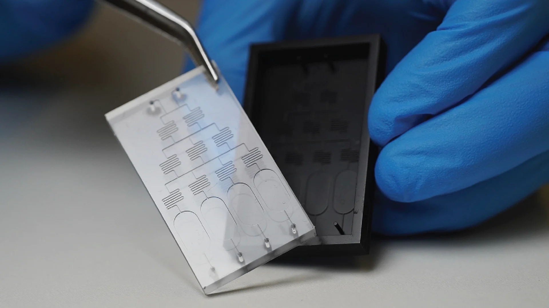Cell Culture Multi-Well Plates 04